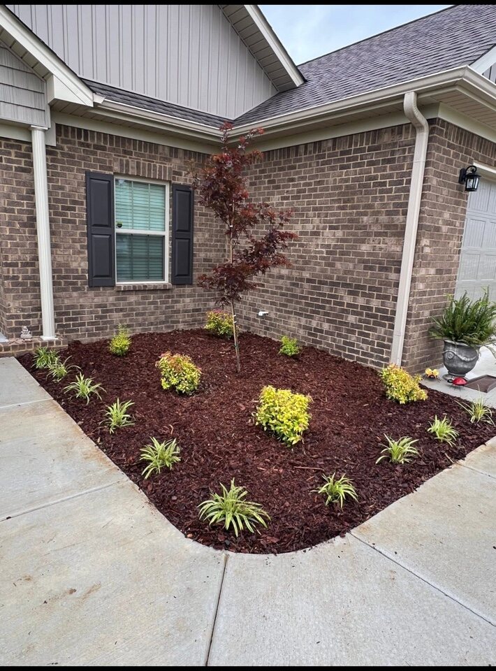 Freshly planted and mulched foundation bed completed by Bates Lawn Care