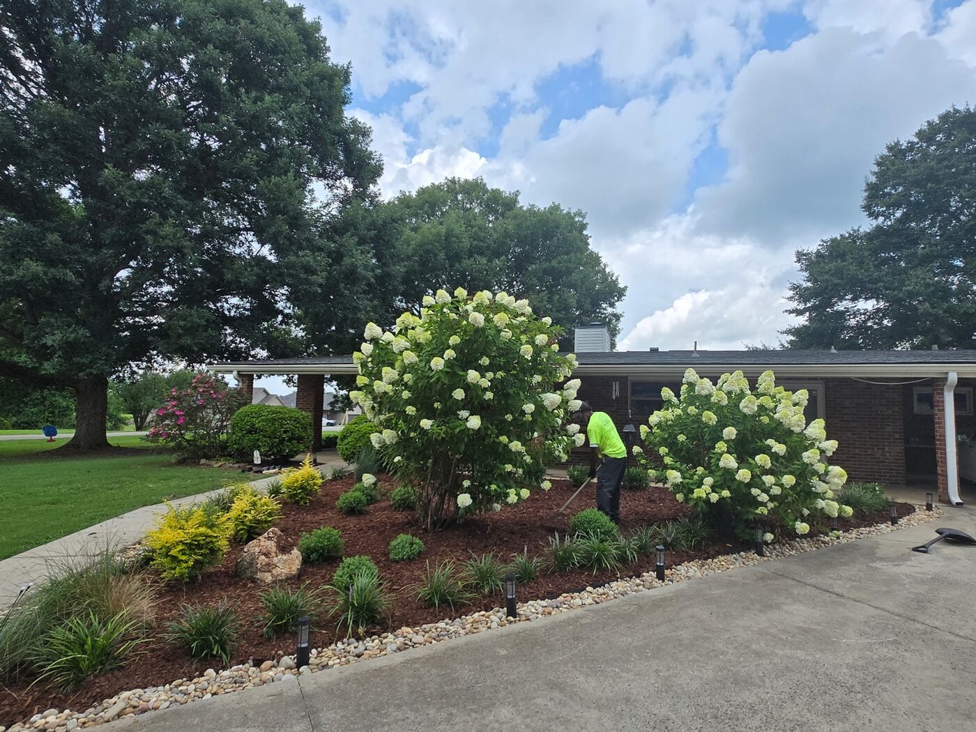 Mature hydrangeas, fresh mulch, river rock, and foundation plants maintained by Bates Lawn Care